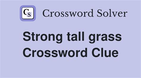 grass crossword clue